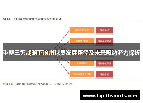 重整三镇战略下沧州球员发展路径及未来吸纳潜力探析