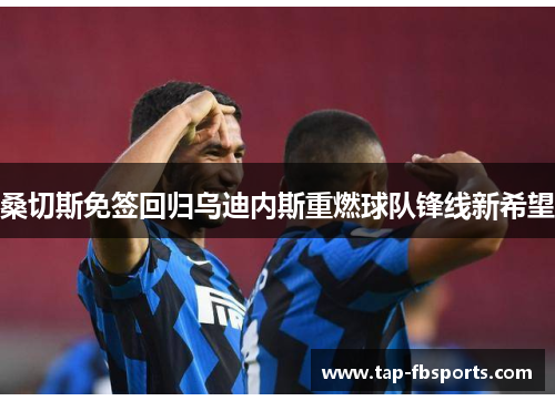 桑切斯免签回归乌迪内斯重燃球队锋线新希望 桑切斯免签回归乌迪内斯重燃球队锋线新希望